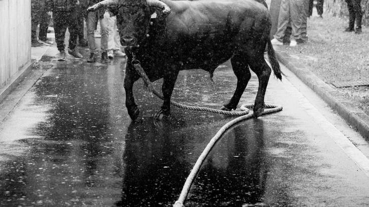 Erakusketa: Sokamuturra 45. Imanol Elias argazki lehiaketa