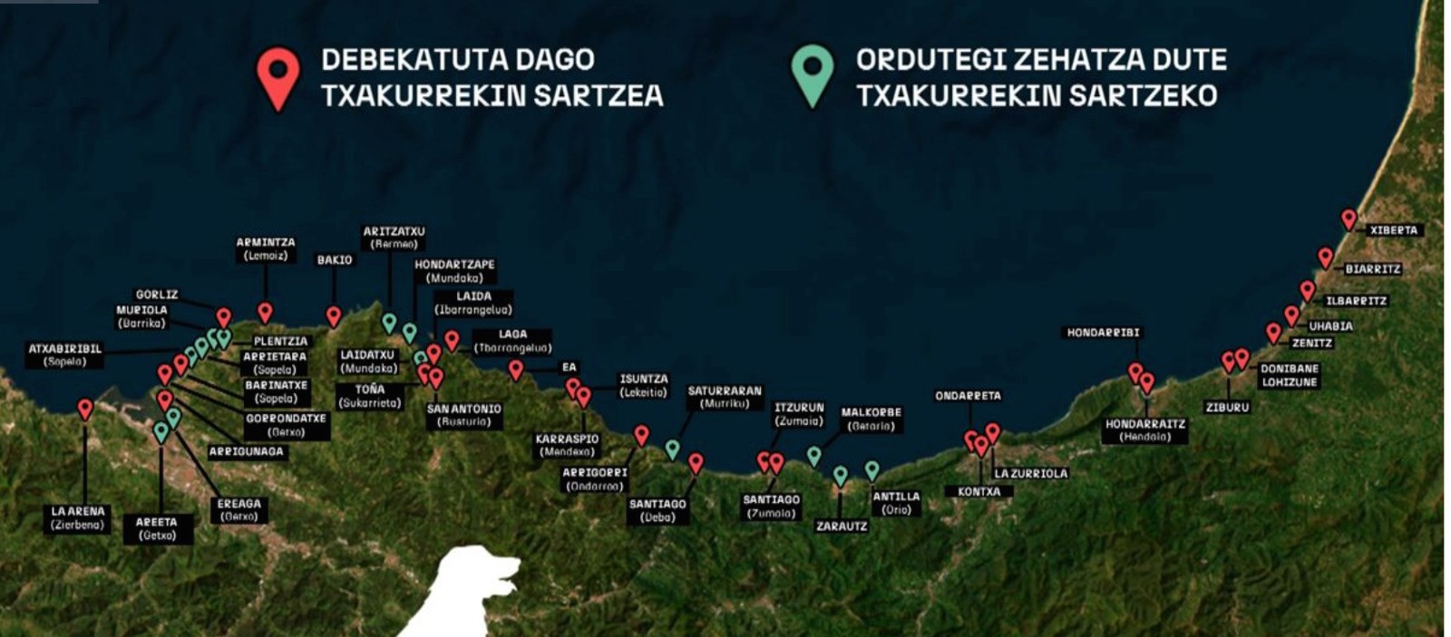 Txakurrek ordutegi mugatua dute hondartzetan
