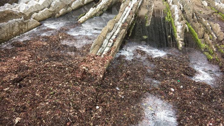 Itzurunen pilatutako oldiarengatik kexu dira bainuzaleak