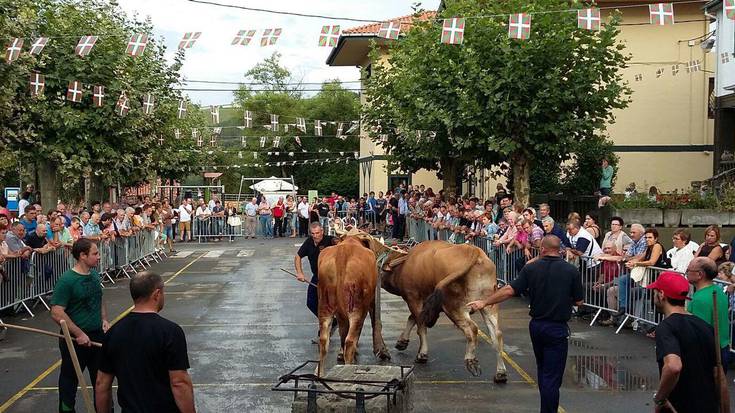 Omenaldia eta idi probak izan dituzte, gaur, Oikian