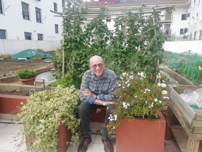 "Polinizazio naturalaren %30 erleek egiten dute"