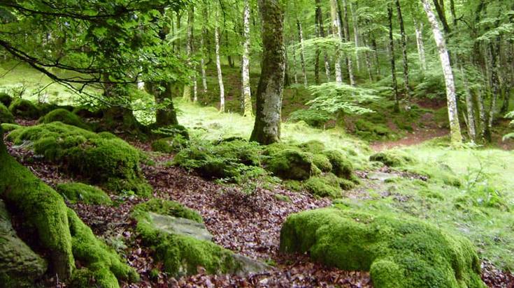 Gure Txokoak Ezagutzen egitasmoaren hurrengo irteeran Nafarroara joango dira