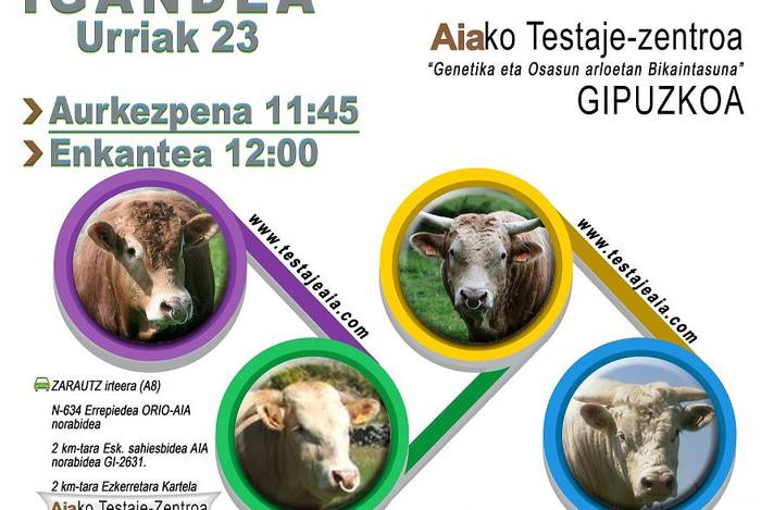 Arraza anitzeko ganaduen XIX. enkantea