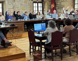 Onartu dituzte udal energia baliabideen kudeaketa integrala lizitatzeko pleguak