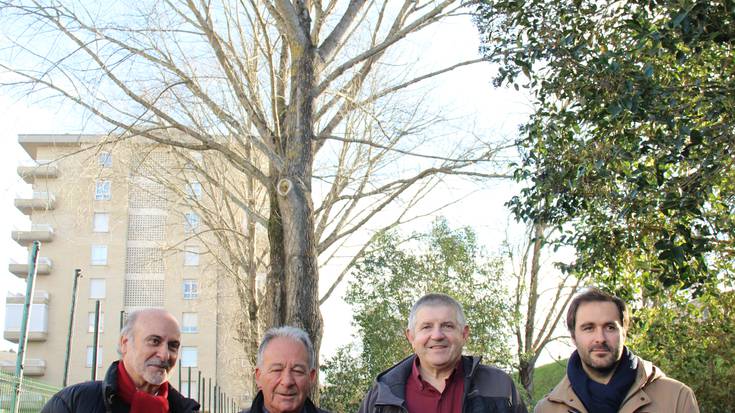 Itxasmendiko saskibaloi eta tenis kantxa ondoko makalak kenduko dituzte