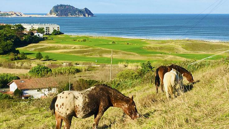 Irudietan: Eguraldi eguzkitsua gaurkoa