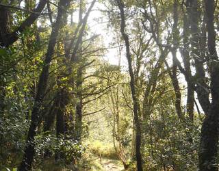 Atzeratutako Arkamurka ibilbideko bisita gidatua egingo dute larunbatean