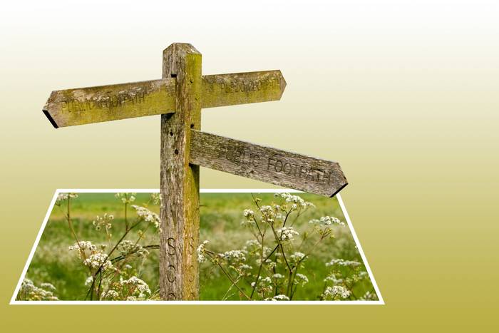 Zumaiako hitz bereziak: NOANOA