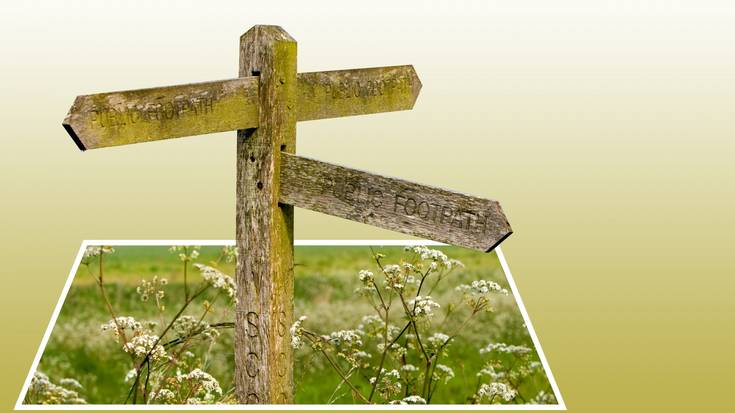 Zumaiako hitz bereziak: NOANOA