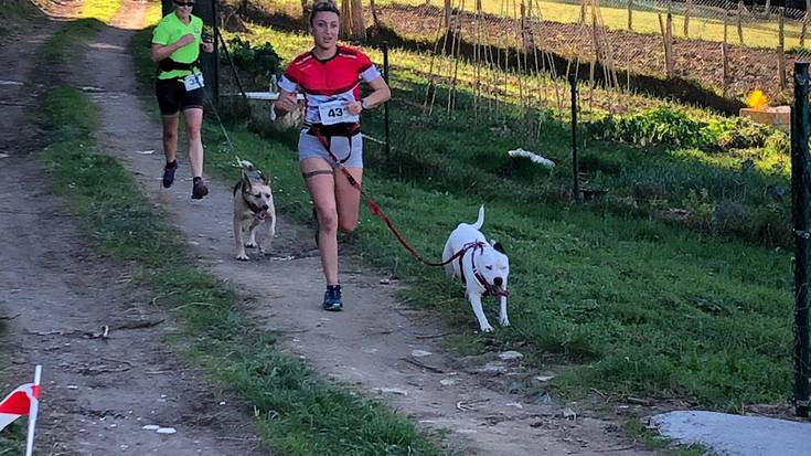 Zabaldu dute Zumaiako XI. Txakurkroserako izen ematea