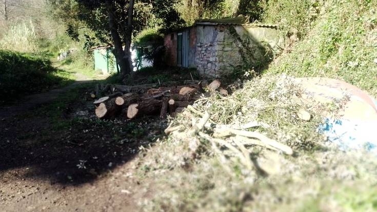 Sua egiteko egurra herritarren eskura jarri ditu udalak