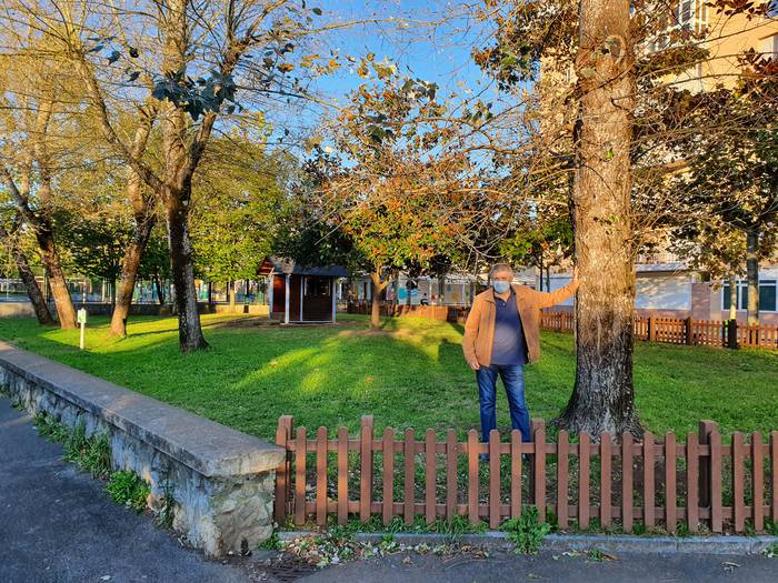 Erortzeko arriskuan dauden zuhaitzak kentzen jarraitzen dute Zarautzen