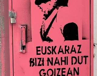 Euskarak argitu gaitzala