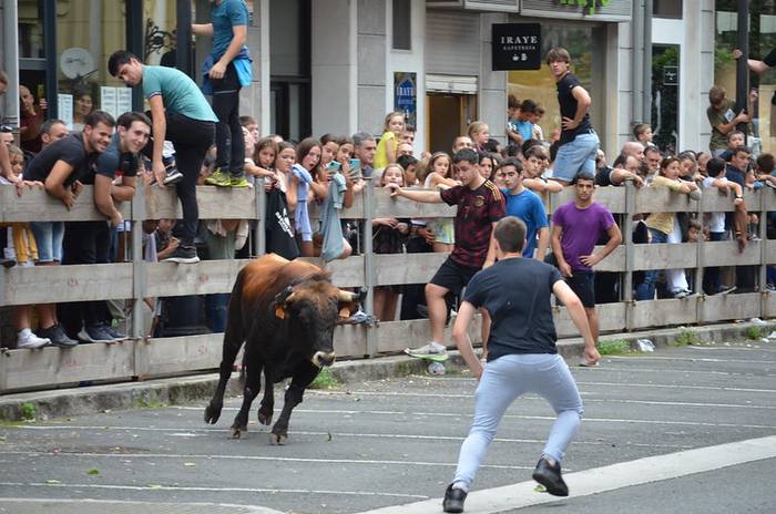 Urriaren 19an eta 20an ospatuko dute XV. Zezen Beltz asteburua