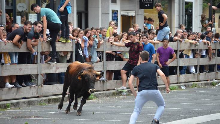 Urriaren 19an eta 20an ospatuko dute XV. Zezen Beltz asteburua