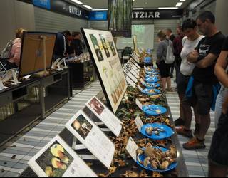 Zarauzko Natura Astea izango da astelehenean hasita