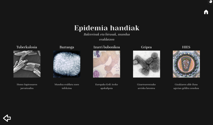 Epidemien historia munduan