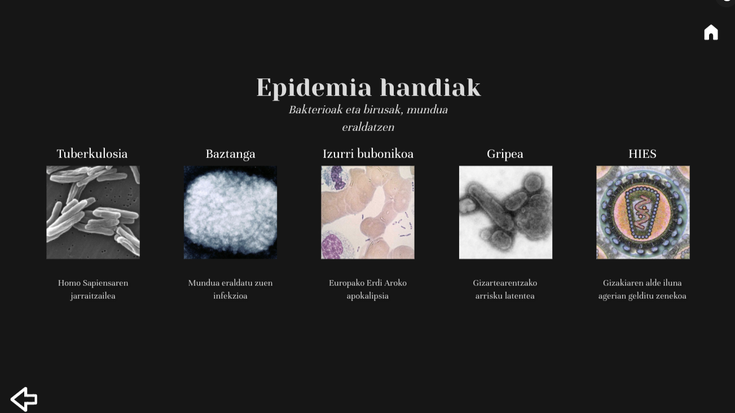 Epidemien historia munduan