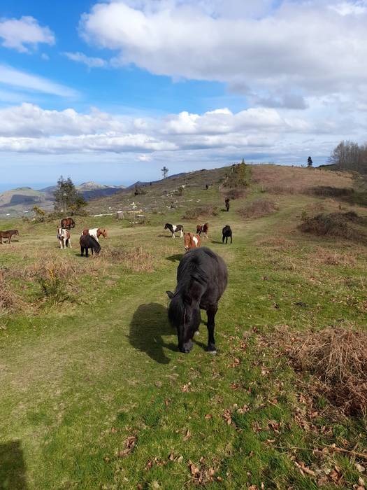 53 hektarea, mendiko natura eta historia berreskuratzeko