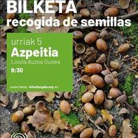 Hazien bilketa