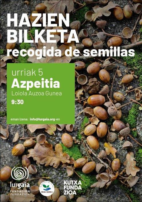 Hazien bilketa