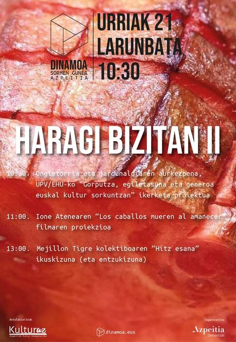 Proiekzioa eta ekitaldia: Haragi Bizitan II