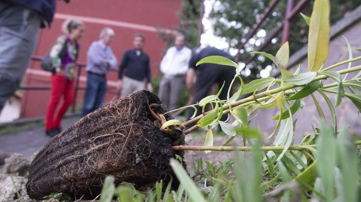 Onddo baratzeak sortzeko bidean