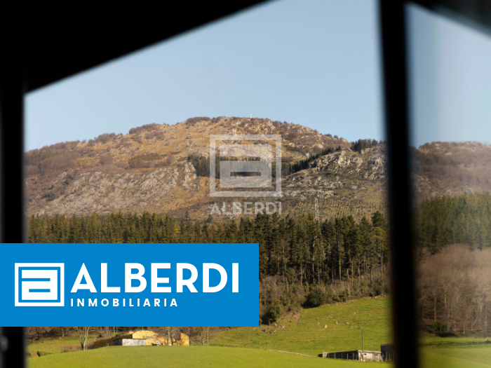 Alberdi Inmobiliaria: altxor ezkutua bueltan da!