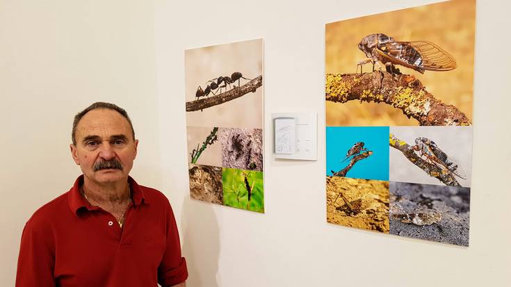 Antonio Valencia: "Intsektuak leku guztietan daude, baina ez diegu jaramonik egiten"