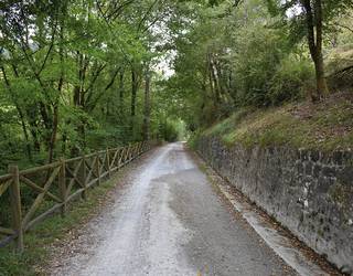 Trenaren mendeurrenean, maratoi erdia