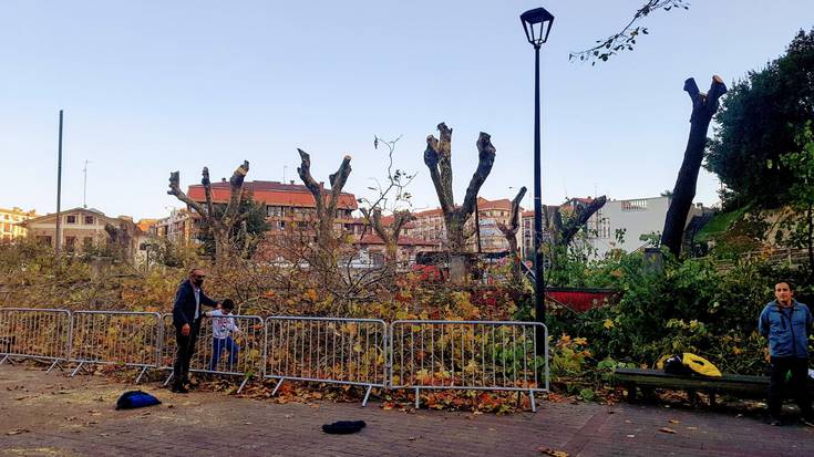 [GUTUNA] Zuhaitz bat laguneko?