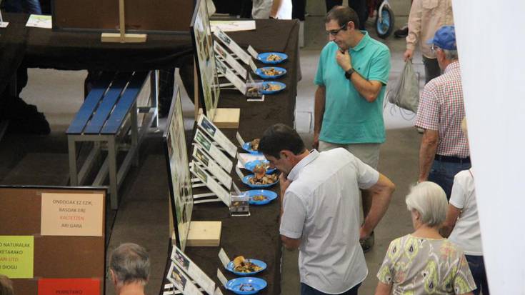 Irudietan: Perretxikoen azokan, klima aldaketa presente