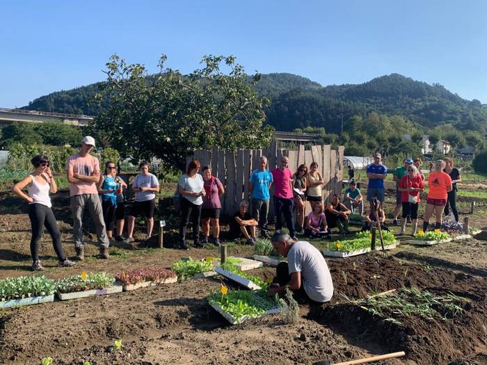 Astelehenean zabalduko dute herri baratzetarako eskaerak aurkezteko epea