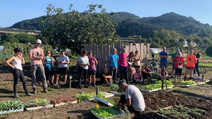 Astelehenean zabalduko dute herri baratzetarako eskaerak aurkezteko epea