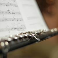 Emanaldia: Bizkargi musika eskolakoen flauta entzunaldia
