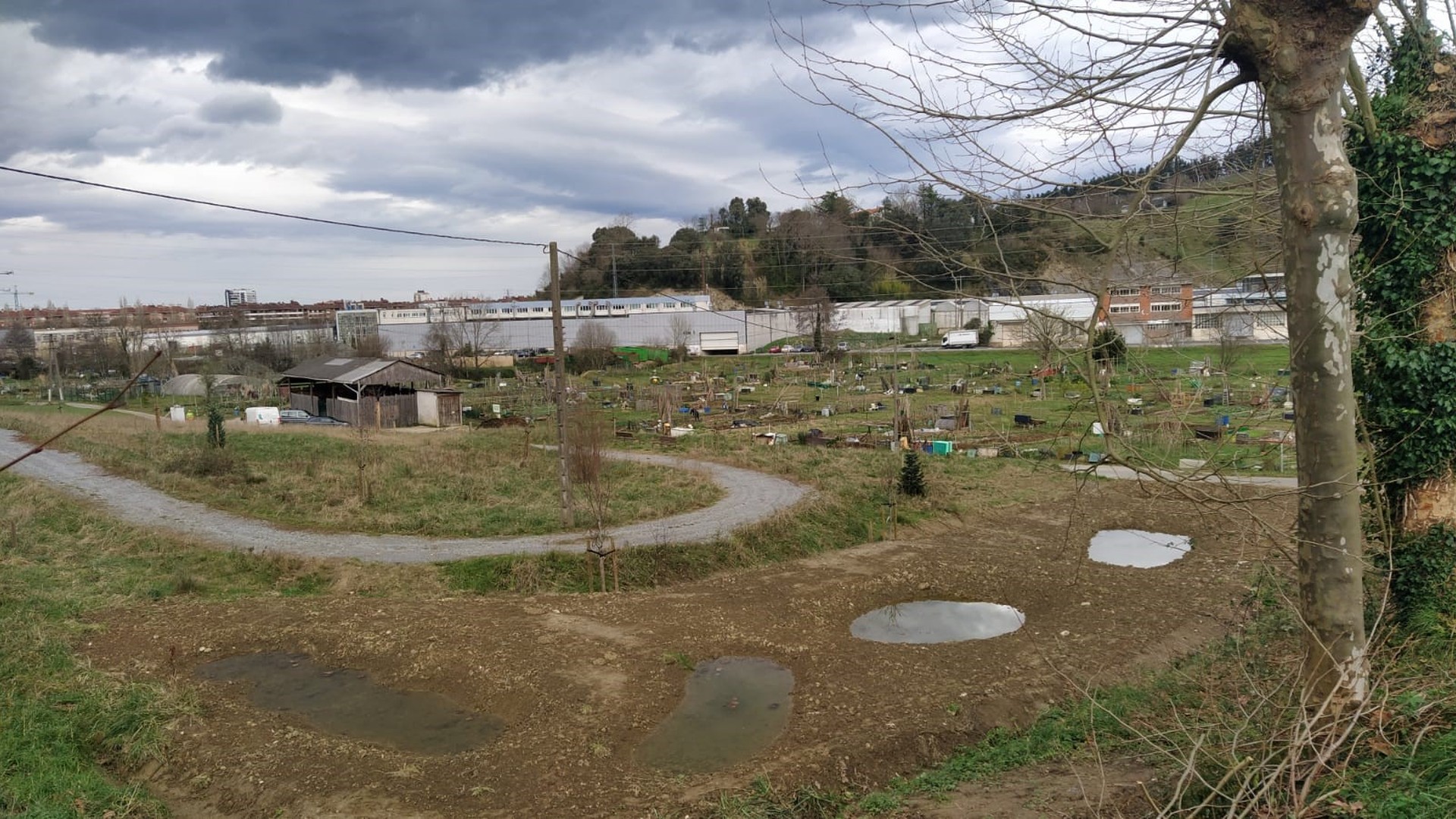 Zarauzko Udalak Itulazabalgo Arboretoaren proiektua amaitu du