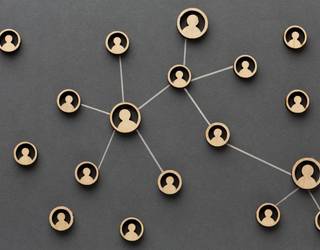 Zaintza harilkatuz, sarea estalpe