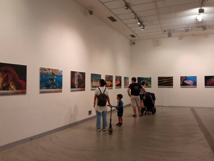 Gaur zabalduko dute nazioarteko itsaspeko urpekaritzaren inguruko argazki erakusketa