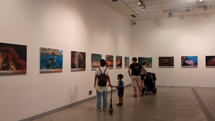 Gaur zabalduko dute nazioarteko itsaspeko urpekaritzaren inguruko argazki erakusketa