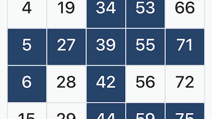 Parte hartze handia izan da etxetik egindako bingo saioetan