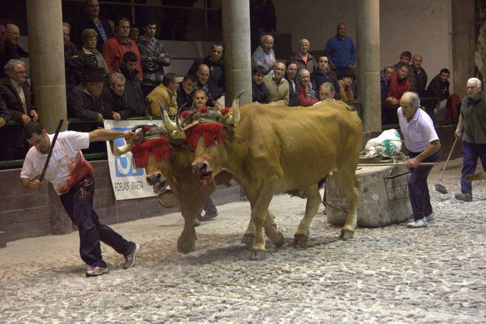 Idi probako Bizi Iturri Saria jokatuko da Aian, maiatzaren 1ean eta 2an
