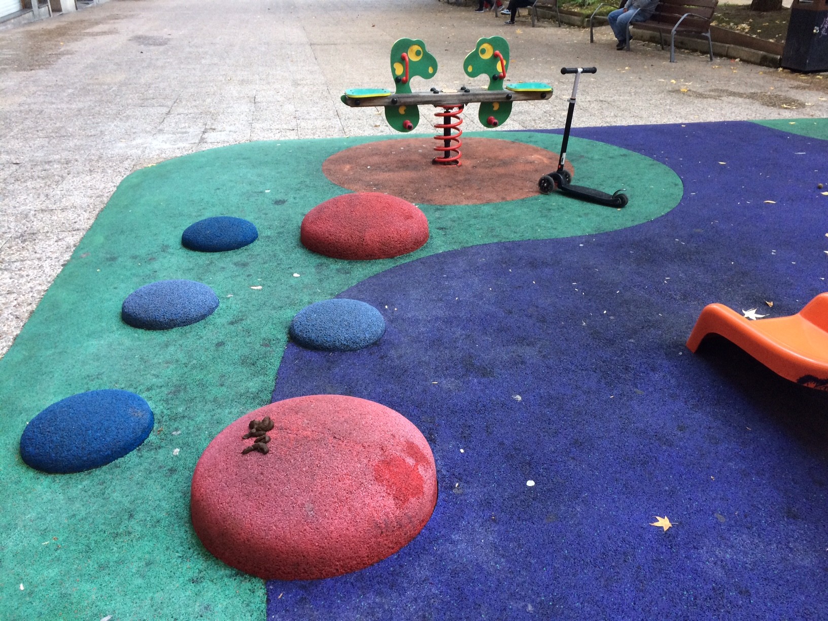 Txakur kaka jolas parkearen erdi-erdian