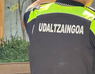 Proposamenak eta joko elektorala