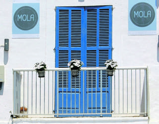 Mola Mola