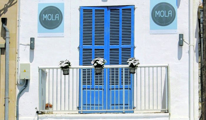 Mola Mola