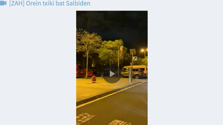 Orkatz txiki bat Salbiden