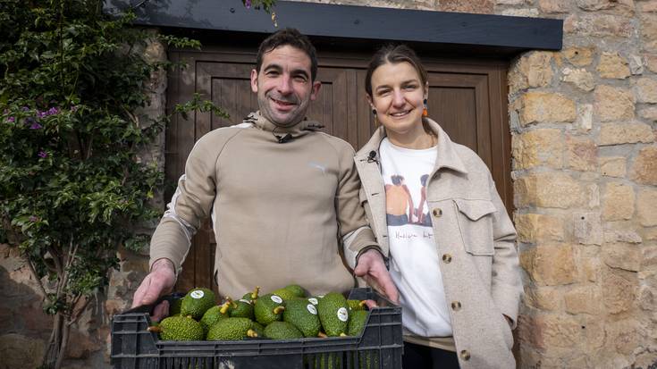 Getariako ahuakatea, etxeetatik hurbil