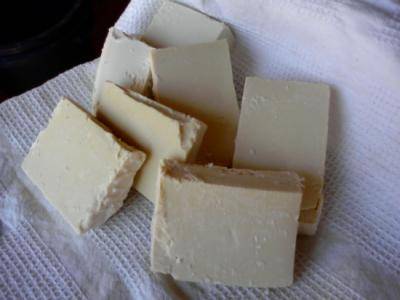 Xaboi naturalen tailerra egingo dute bihar Orion