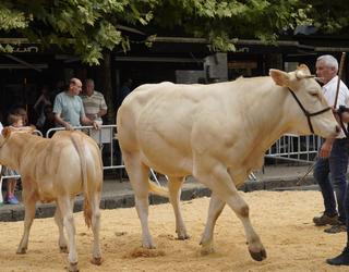 Askotariko ekitaldiak, Baserritarren Eguna hasteko