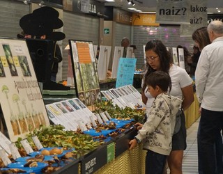 Mikologia eta geologia izango dira ardatz 47. Natura Astean